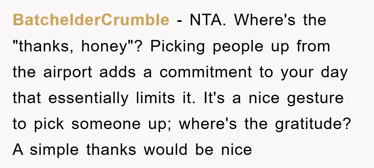 BatchelderCrumble − NTA. Where's the "thanks, honey"? Picking people up from the airport adds a commitment to your day that essentially limits it. It's a nice gesture to pick someone...