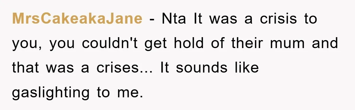 MrsCakeakaJane − Nta It was a crisis to you, you couldn't get hold of their mum and that was a crises... It sounds like gaslighting to me.
