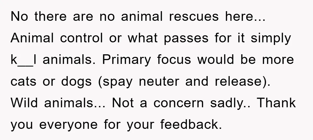 No there are no animal rescues here... Animal control or what passes for it simply k__l animals. Primary focus would be more cats or dogs (spay neuter and release). Wild...