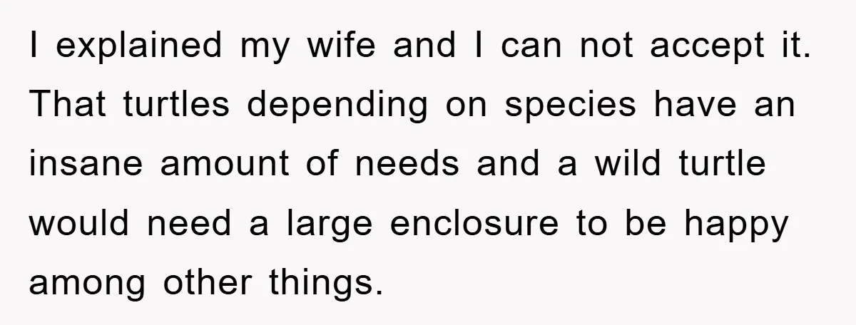 I explained my wife and I can not accept it. That turtles depending on species have an insane amount of needs and a wild turtle would need a large enclosure...