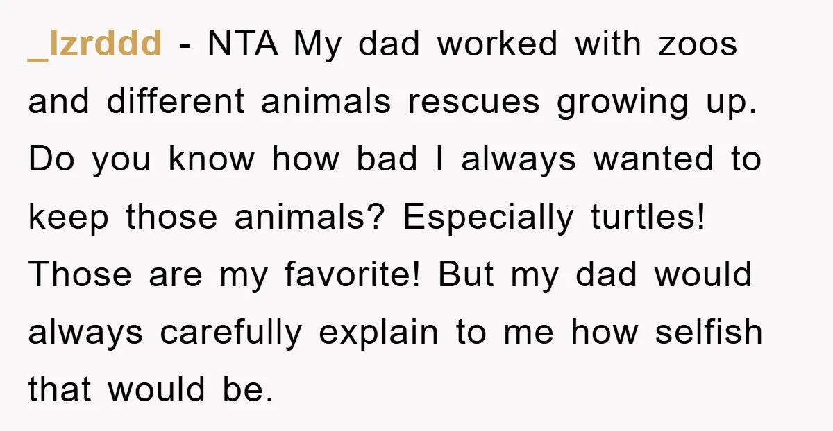 _lzrddd − NTA My dad worked with zoos and different animals rescues growing up. Do you know how bad I always wanted to keep those animals? Especially turtles! Those are...