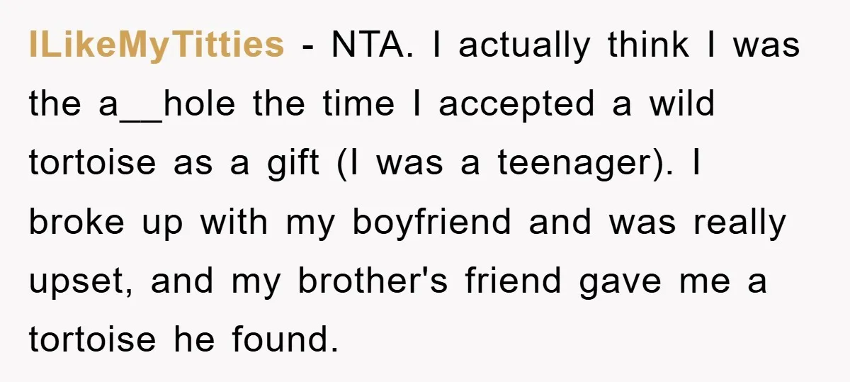 ILikeMyTitties − NTA. I actually think I was the a__hole the time I accepted a wild tortoise as a gift (I was a teenager). I broke up with my boyfriend...