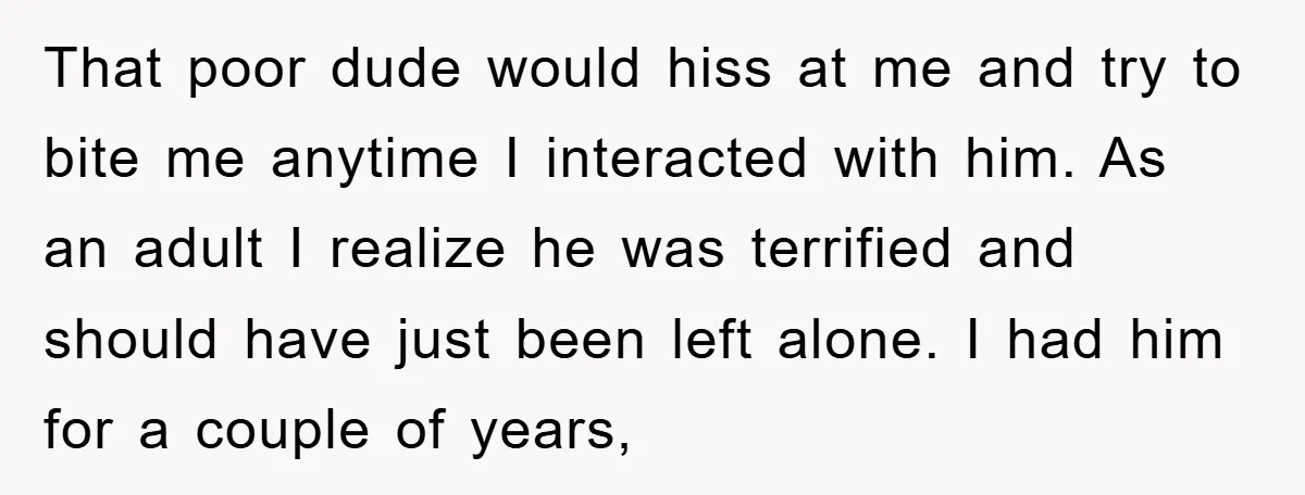 That poor dude would hiss at me and try to bite me anytime I interacted with him. As an adult I realize he was terrified and should have just been...