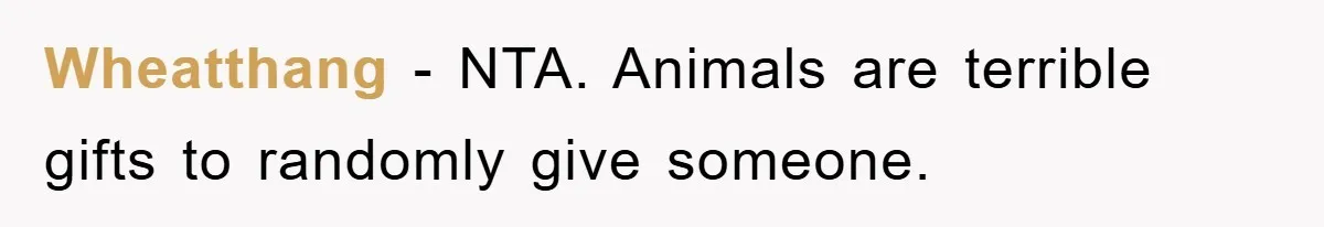 Wheatthang − NTA. Animals are terrible gifts to randomly give someone.