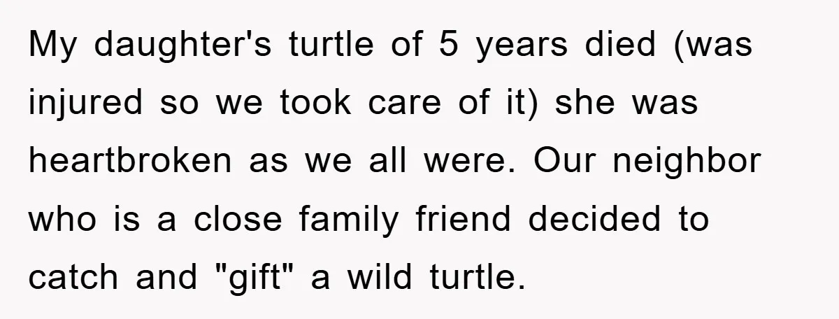 My daughter's turtle of 5 years died (was injured so we took care of it) she was heartbroken as we all were. Our neighbor who is a close family friend...