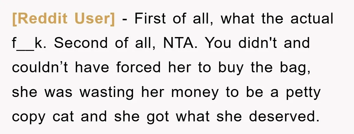 [Reddit User] − First of all, what the actual f__k. Second of all, NTA. You didn't and couldn’t have forced her to buy the bag, she was wasting her money...