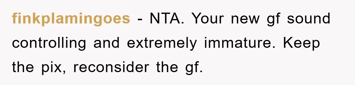 finkplamingoes − NTA. Your new gf sound controlling and extremely immature. Keep the pix, reconsider the gf.