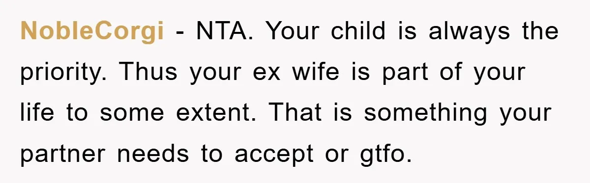 NobleCorgi − NTA. Your child is always the priority. Thus your ex wife is part of your life to some extent. That is something your partner needs to accept or...