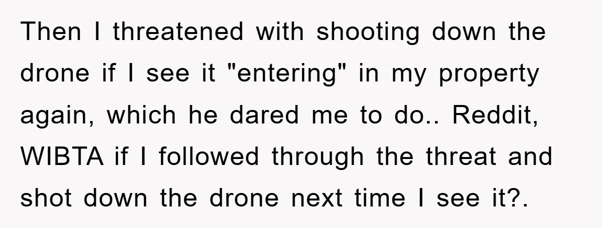 Then I threatened with shooting down the drone if I see it "entering" in my property again, which he dared me to do.. Reddit, WIBTA if I followed through the...