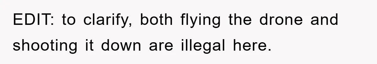 EDIT: to clarify, both flying the drone and shooting it down are illegal here.