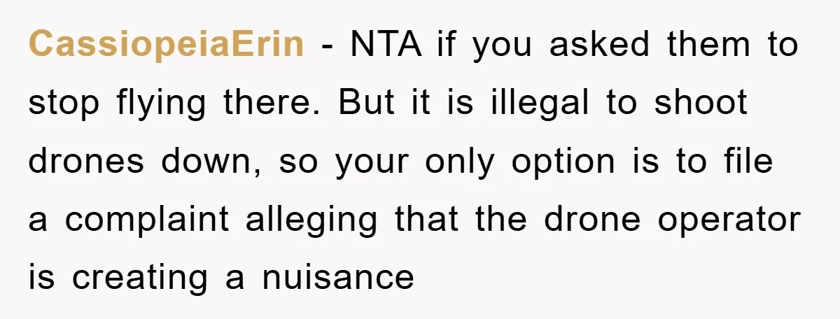 CassiopeiaErin − NTA if you asked them to stop flying there. But it is illegal to shoot drones down, so your only option is to file a complaint alleging that...