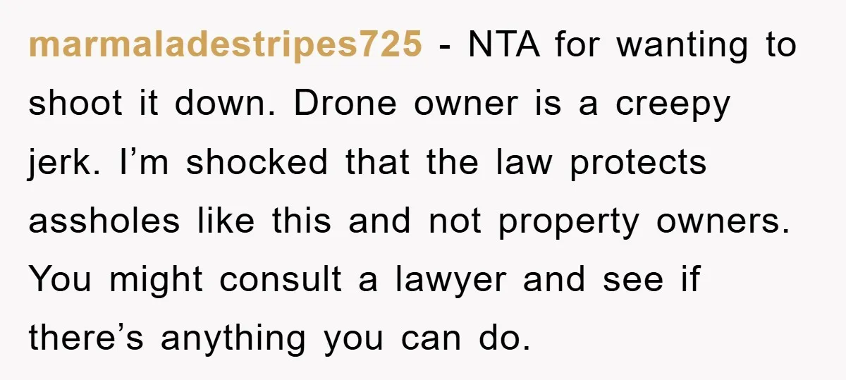 marmaladestripes725 − NTA for wanting to shoot it down. Drone owner is a creepy jerk. I’m shocked that the law protects assholes like this and not property owners. You might...