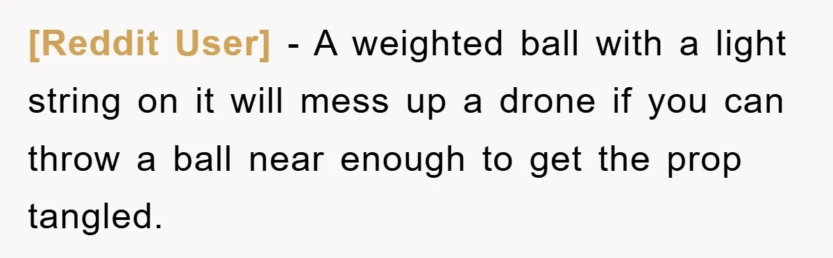 [Reddit User] − A weighted ball with a light string on it will mess up a drone if you can throw a ball near enough to get the prop tangled.