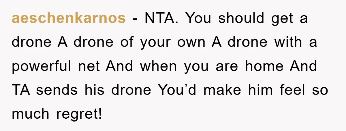 aeschenkarnos − NTA. You should get a drone A drone of your own A drone with a powerful net And when you are home And TA sends his drone You’d...