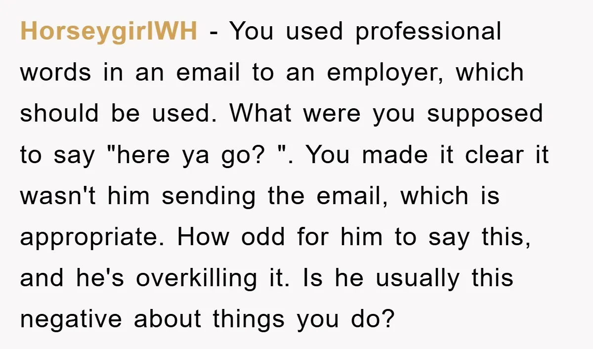 HorseygirlWH − You used professional words in an email to an employer, which should be used. What were you supposed to say "here ya go? ". You made it clear...