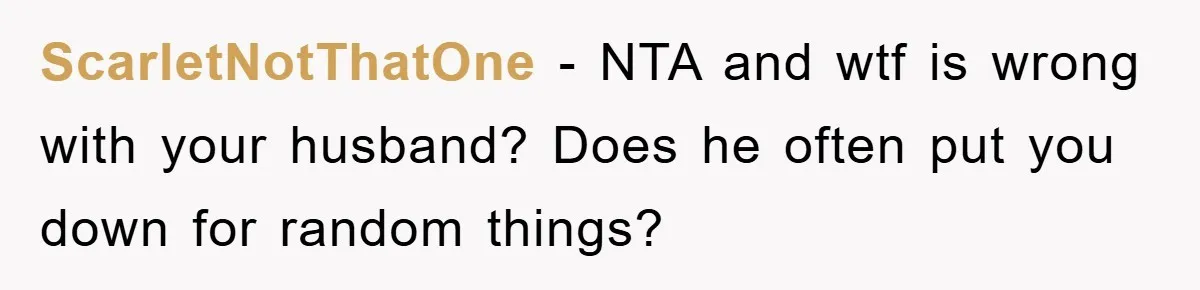 ScarletNotThatOne − NTA and wtf is wrong with your husband? Does he often put you down for random things?