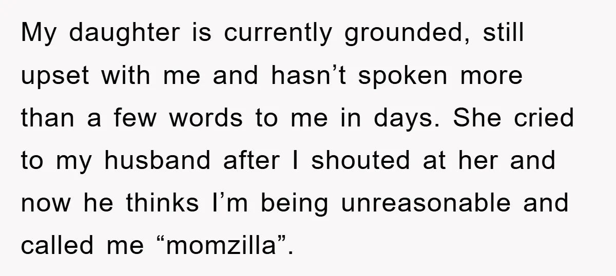 My daughter is currently grounded, still upset with me and hasn’t spoken more than a few words to me in days. She cried to my husband after I shouted at...