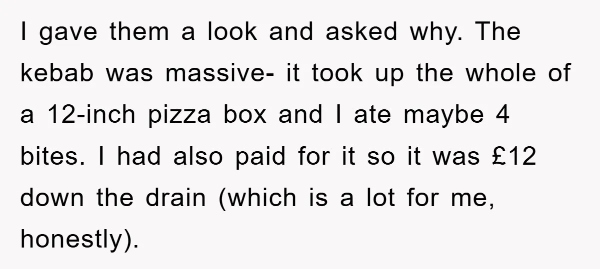 I gave them a look and asked why. The kebab was massive- it took up the whole of a 12-inch pizza box and I ate maybe 4 bites. I had...