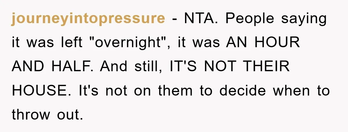 journeyintopressure − NTA. People saying it was left "overnight", it was AN HOUR AND HALF. And still, IT'S NOT THEIR HOUSE. It's not on them to decide when to throw...