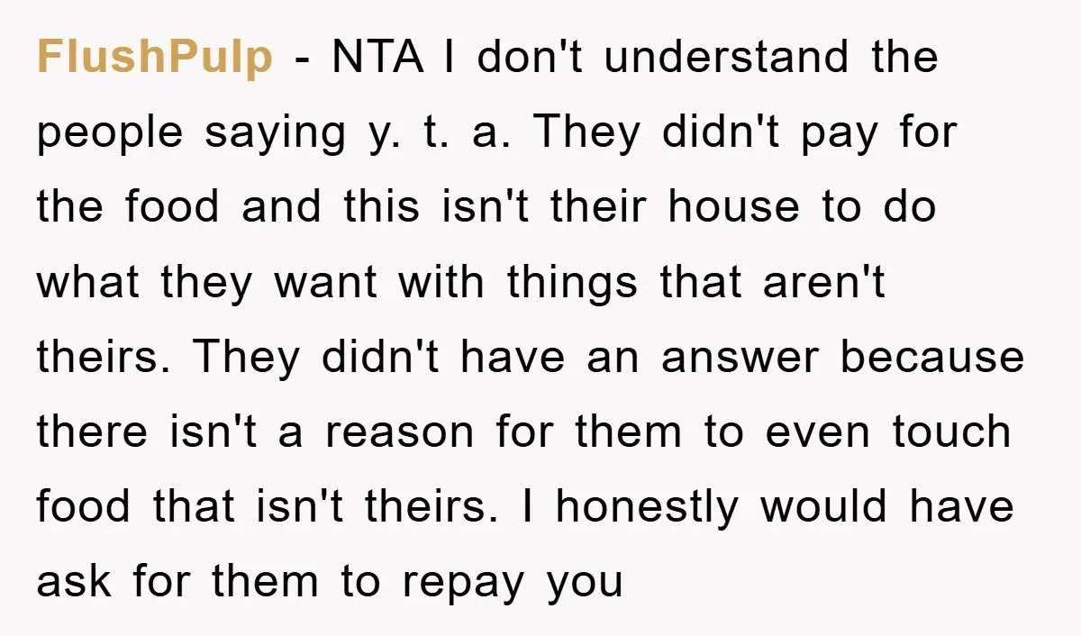 FlushPulp − NTA I don't understand the people saying y. t. a. They didn't pay for the food and this isn't their house to do what they want with things...