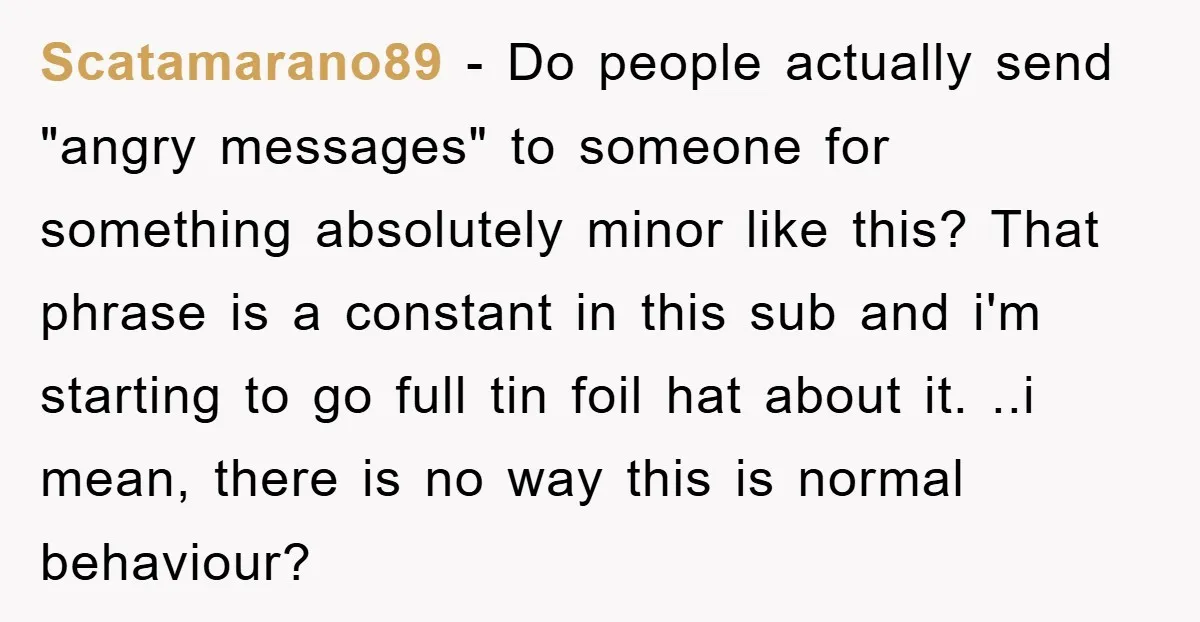 Scatamarano89 − Do people actually send "angry messages" to someone for something absolutely minor like this? That phrase is a constant in this sub and i'm starting to go full...