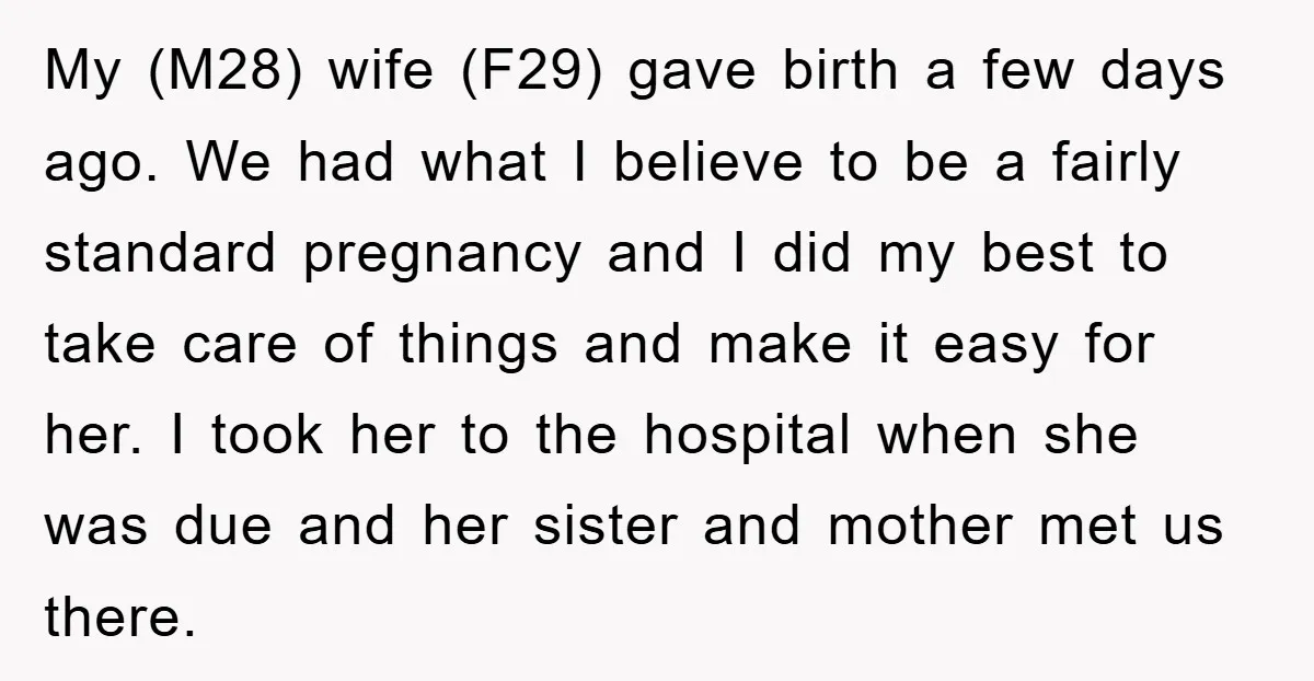 My (M28) wife (F29) gave birth a few days ago. We had what I believe to be a fairly standard pregnancy and I did my best to take care of...