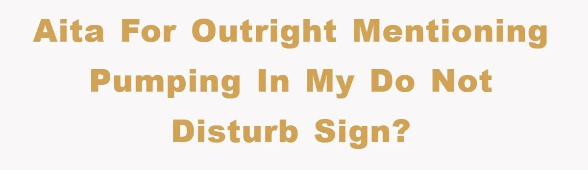 AITA for outright mentioning pumping in my do not disturb sign?