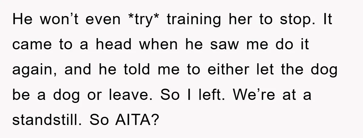 He won’t even *try* training her to stop. It came to a head when he saw me do it again, and he told me to either let the dog be...