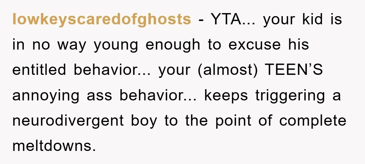 lowkeyscaredofghosts − YTA... your kid is in no way young enough to excuse his entitled behavior... your (almost) TEEN’S annoying ass behavior... keeps triggering a neurodivergent boy to the point...