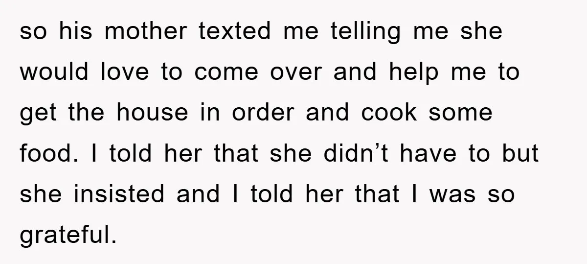 so his mother texted me telling me she would love to come over and help me to get the house in order and cook some food. I told her that...