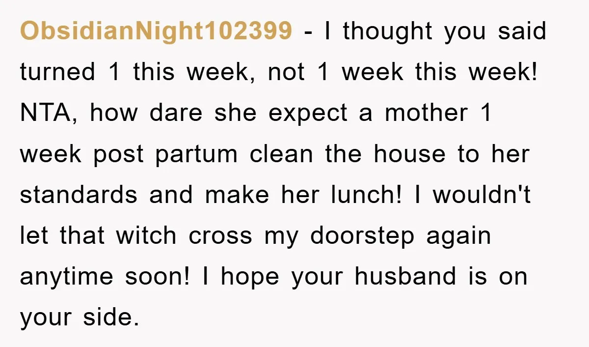 ObsidianNight102399 − I thought you said turned 1 this week, not 1 week this week! NTA, how dare she expect a mother 1 week post partum clean the house to...