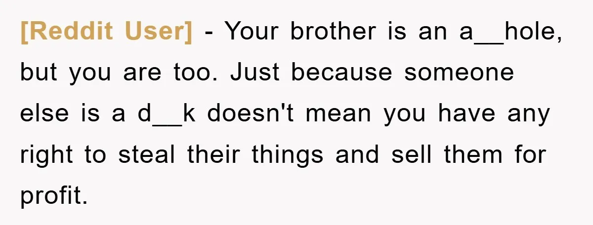 [Reddit User] − Your brother is an a__hole, but you are too. Just because someone else is a d__k doesn't mean you have any right to steal their things and...