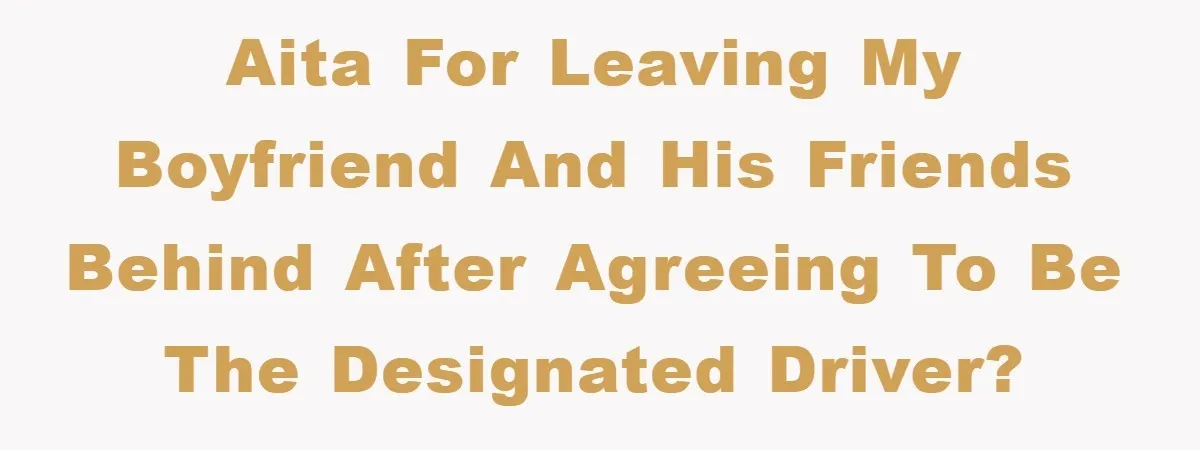 AITA for leaving my boyfriend and his friends behind after agreeing to be the designated driver?
