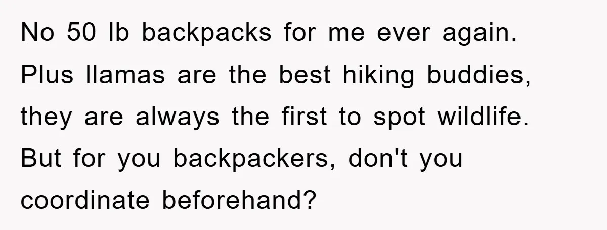 No 50 lb backpacks for me ever again. Plus llamas are the best hiking buddies, they are always the first to spot wildlife. But for you backpackers, don't you coordinate...