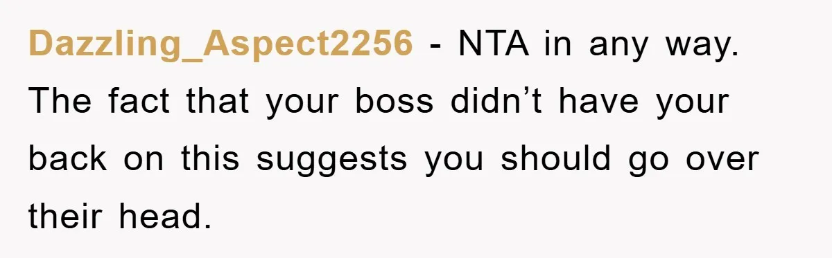 Dazzling_Aspect2256 − NTA in any way. The fact that your boss didn’t have your back on this suggests you should go over their head.