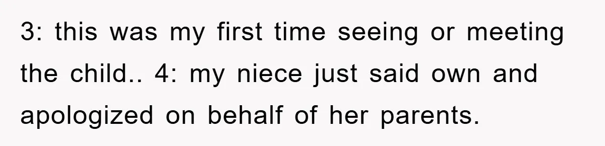 3: this was my first time seeing or meeting the child.. 4: my niece just said own and apologized on behalf of her parents.