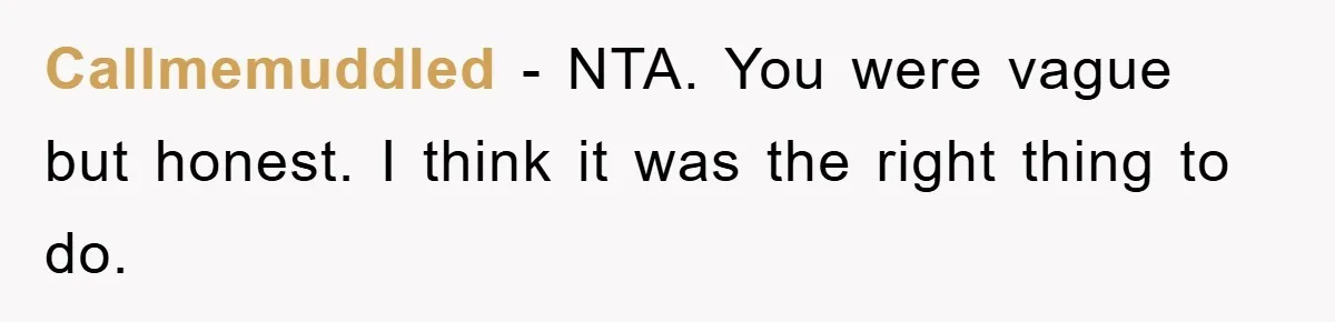 Callmemuddled − NTA. You were vague but honest. I think it was the right thing to do.