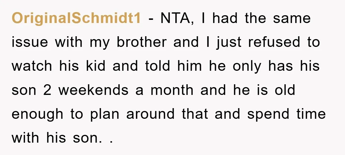 OriginalSchmidt1 − NTA, I had the same issue with my brother and I just refused to watch his kid and told him he only has his son 2 weekends a...