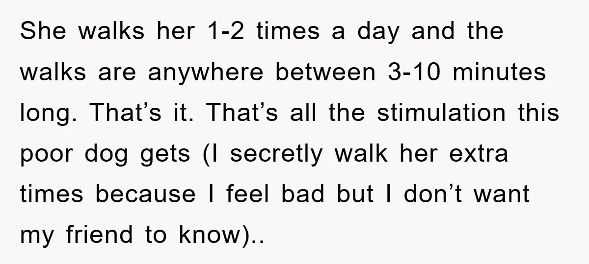 She walks her 1-2 times a day and the walks are anywhere between 3-10 minutes long. That’s it. That’s all the stimulation this poor dog gets (I secretly walk her...