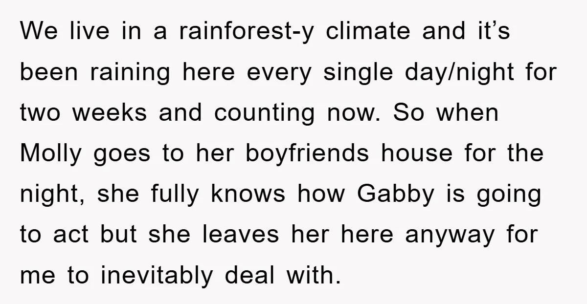 We live in a rainforest-y climate and it’s been raining here every single day/night for two weeks and counting now. So when Molly goes to her boyfriends house for the...