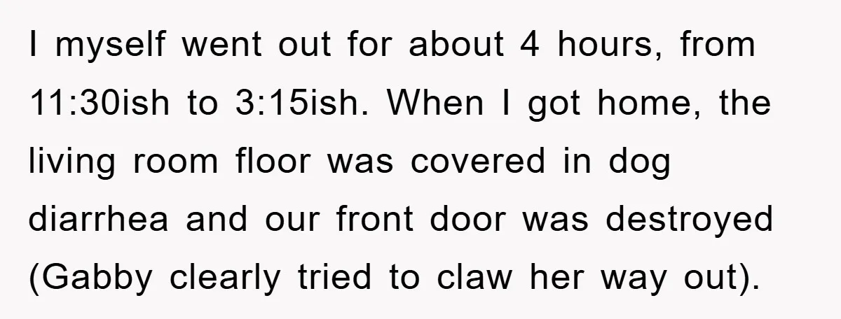 I myself went out for about 4 hours, from 11:30ish to 3:15ish. When I got home, the living room floor was covered in dog diarrhea and our front door was...