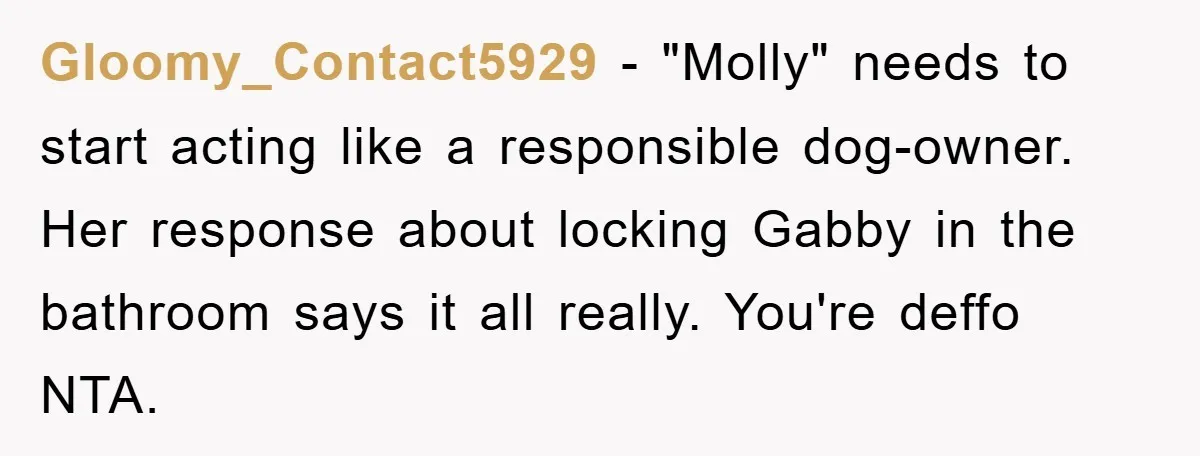 Gloomy_Contact5929 − "Molly" needs to start acting like a responsible dog-owner. Her response about locking Gabby in the bathroom says it all really. You're deffo NTA.