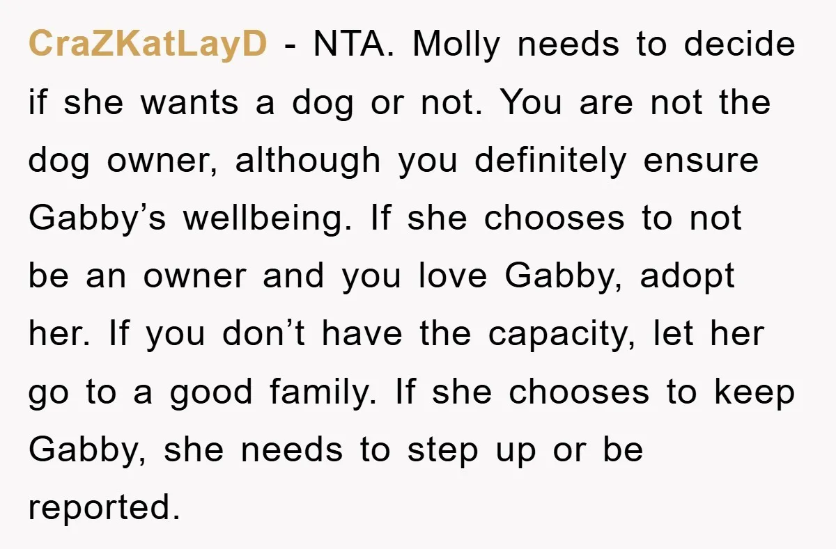 CraZKatLayD − NTA. Molly needs to decide if she wants a dog or not. You are not the dog owner, although you definitely ensure Gabby’s wellbeing. If she chooses to...