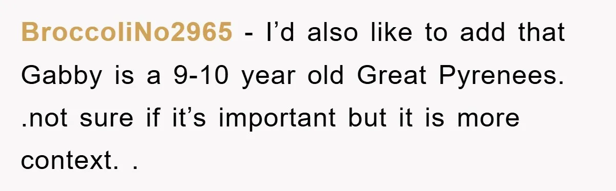 BroccoliNo2965 − I’d also like to add that Gabby is a 9-10 year old Great Pyrenees. .not sure if it’s important but it is more context. .