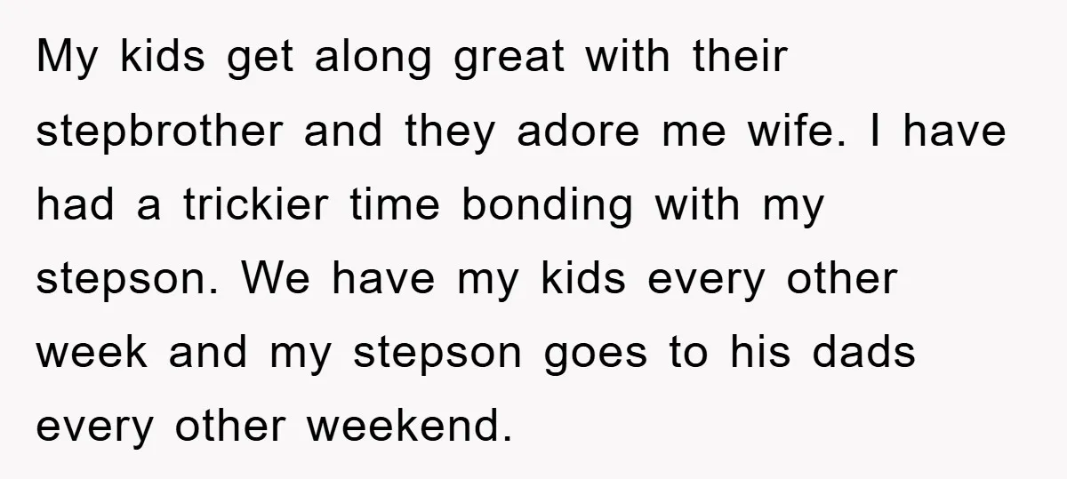 My kids get along great with their stepbrother and they adore me wife. I have had a trickier time bonding with my stepson. We have my kids every other week...