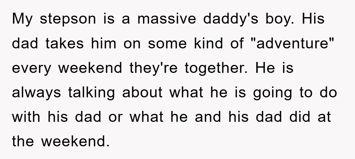 My stepson is a massive daddy's boy. His dad takes him on some kind of "adventure" every weekend they're together. He is always talking about what he is going to...