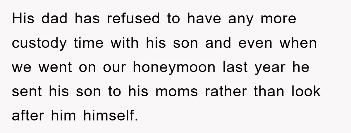 His dad has refused to have any more custody time with his son and even when we went on our honeymoon last year he sent his son to his moms...