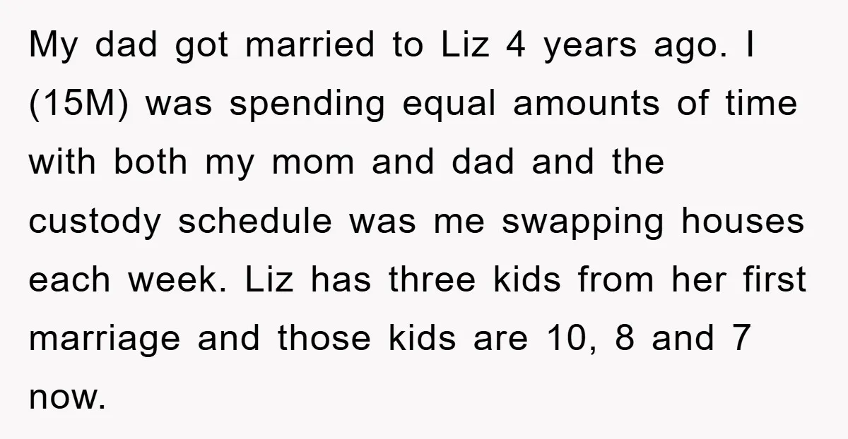 My dad got married to Liz 4 years ago. I (15M) was spending equal amounts of time with both my mom and dad and the custody schedule was me swapping...