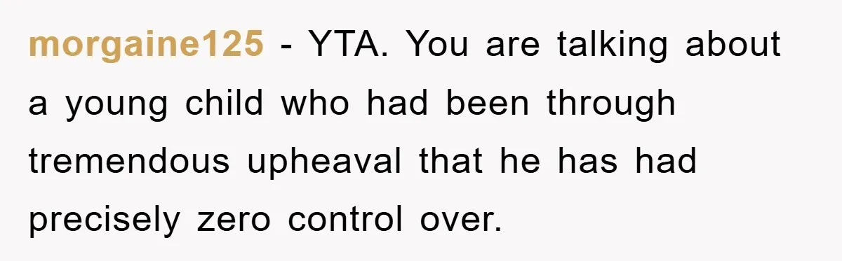 morgaine125 − YTA. You are talking about a young child who had been through tremendous upheaval that he has had precisely zero control over.