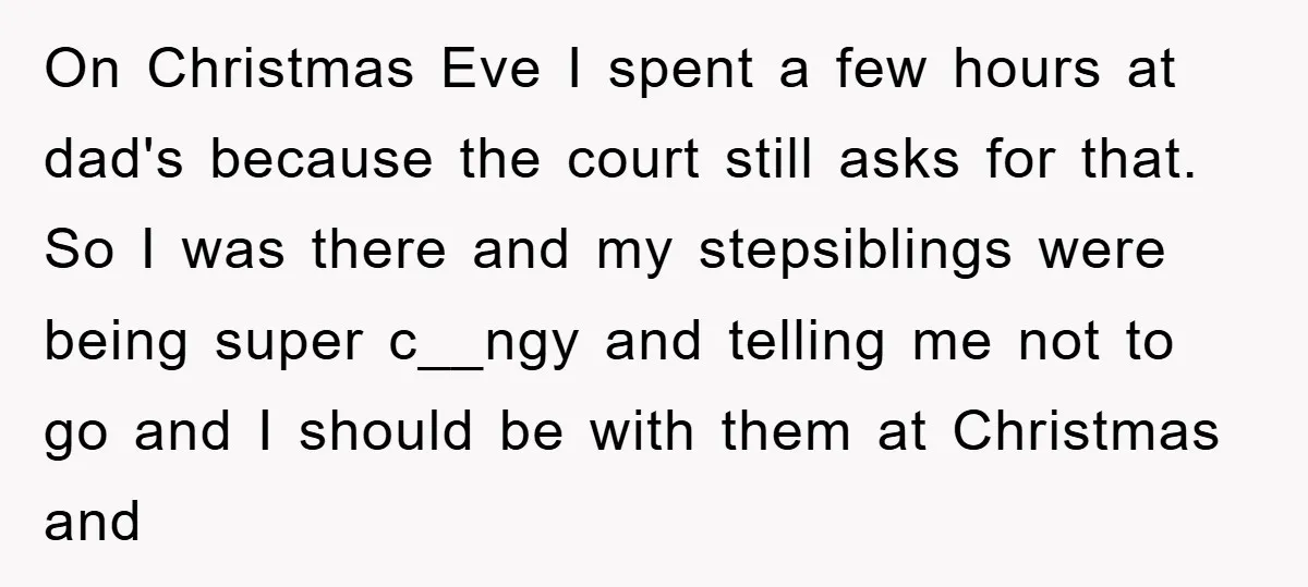 On Christmas Eve I spent a few hours at dad's because the court still asks for that. So I was there and my stepsiblings were being super c__ngy and telling...
